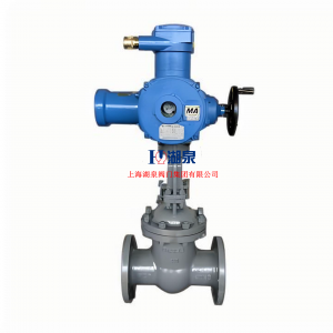 ZB941H-64C DN250隔爆型铸钢矿用电动闸阀