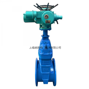 上海永利yl23411集团官网入口Z945X-10/16Q  DN700电动弹性座封闸阀