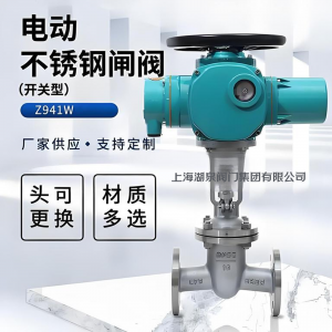 电动闸阀Z941W-25P DN250法兰不锈钢