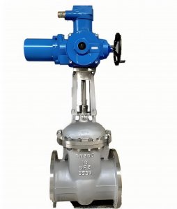 电动闸阀Z941Y-25 DN80法兰连接硬质合金