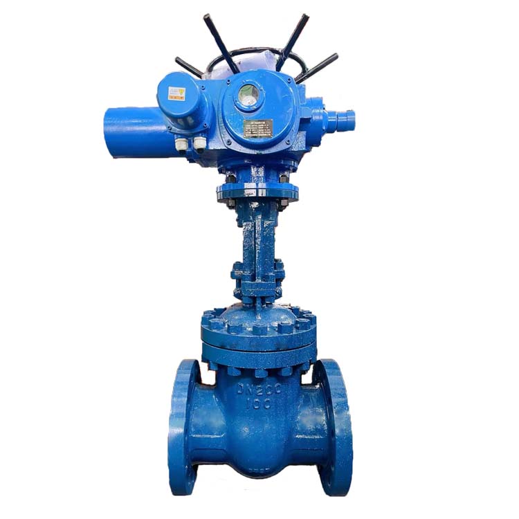 电动闸阀