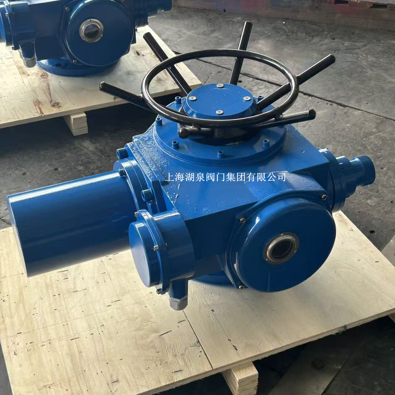 电动执行器